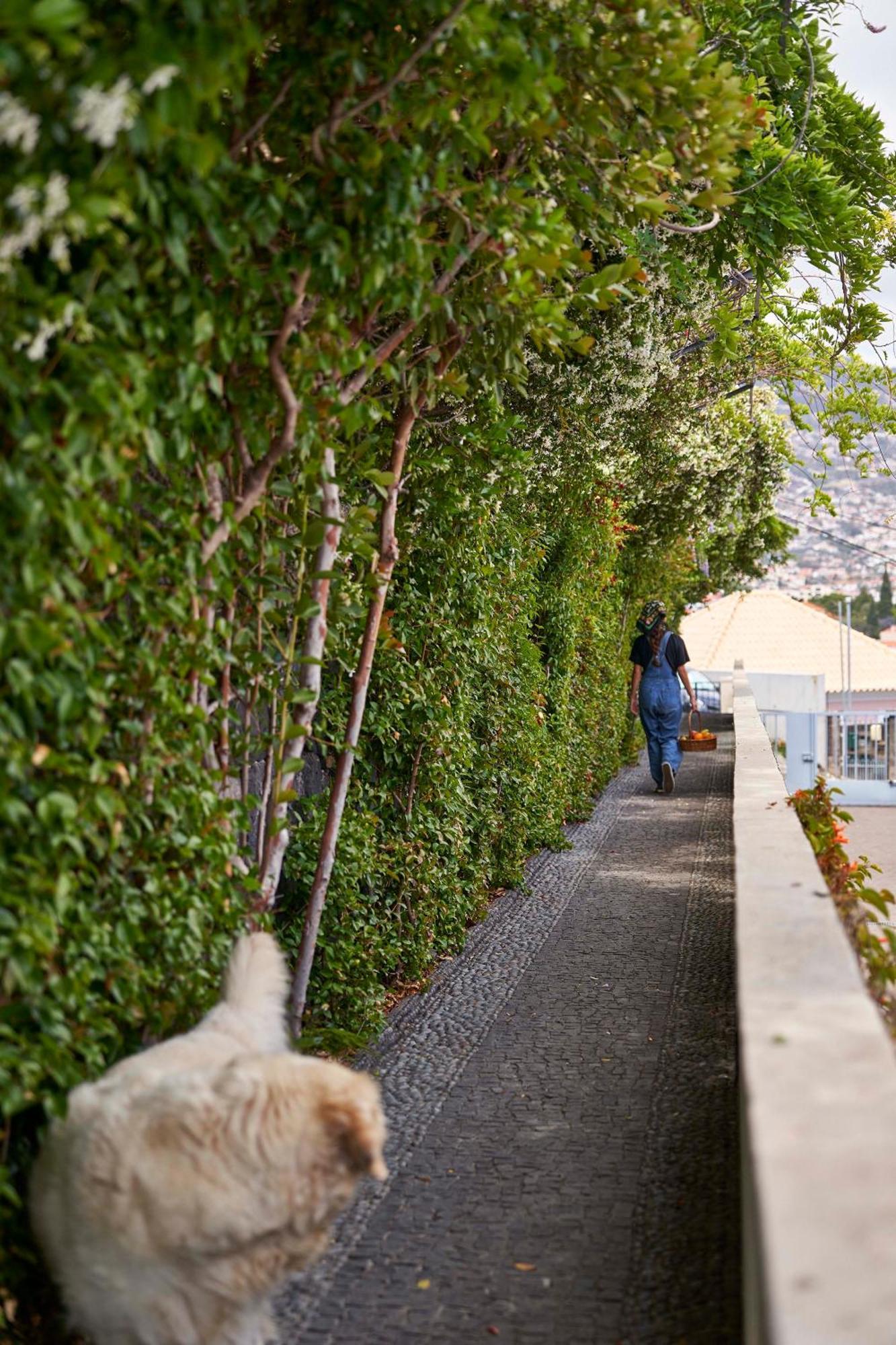 Bordal Houses Funchal  Esterno foto